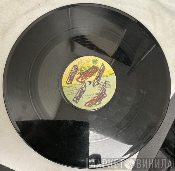  Tyrone Taylor  - Cottage In Negril / Don't Destroy Me