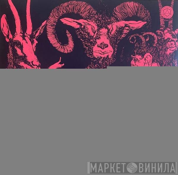Ulver - Liminal Animals