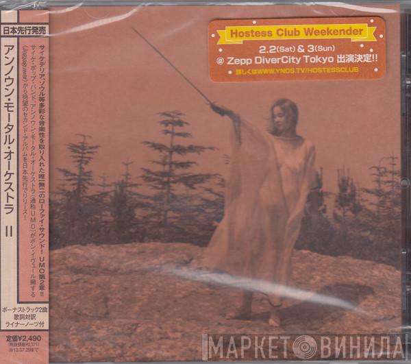  Unknown Mortal Orchestra  - II
