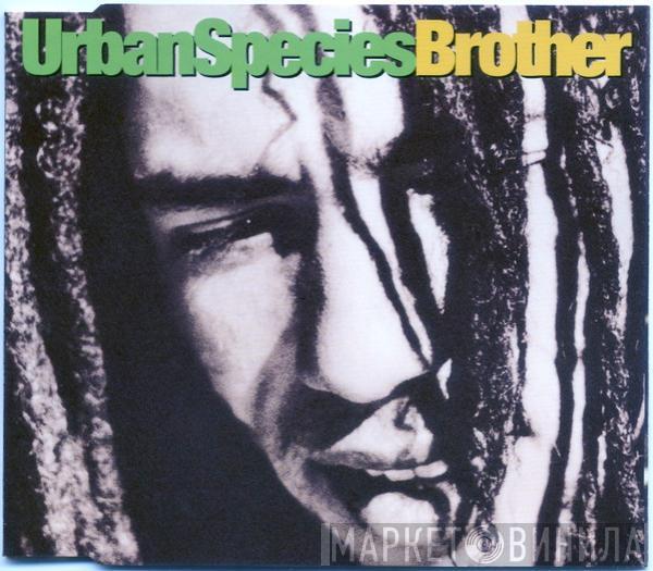  Urban Species  - Brother