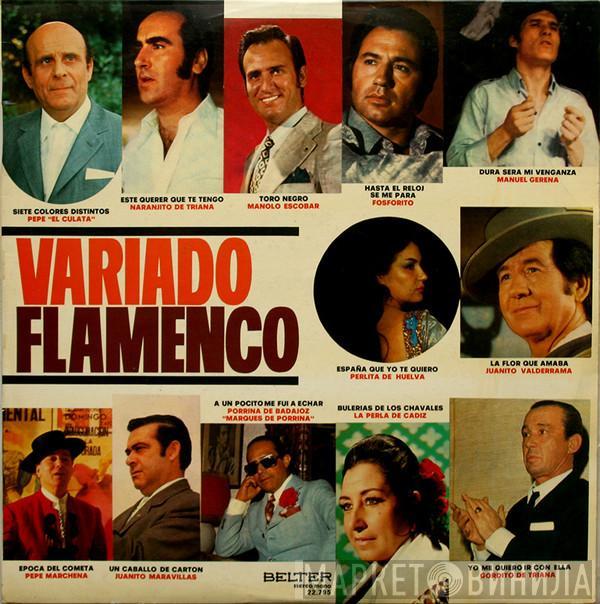  - Variado Flamenco