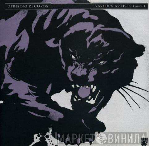  - Various Artists Volume 1