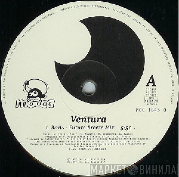  Ventura  - Birds