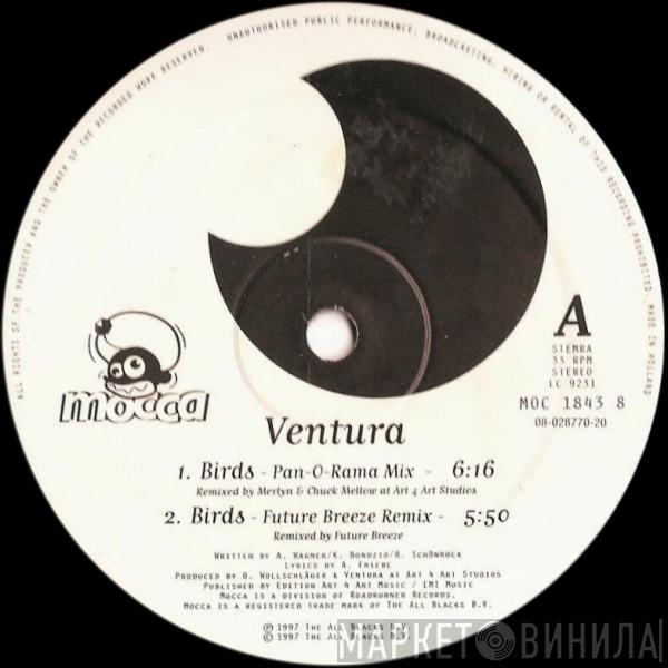  Ventura  - Birds