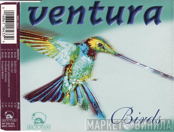  Ventura  - Birds