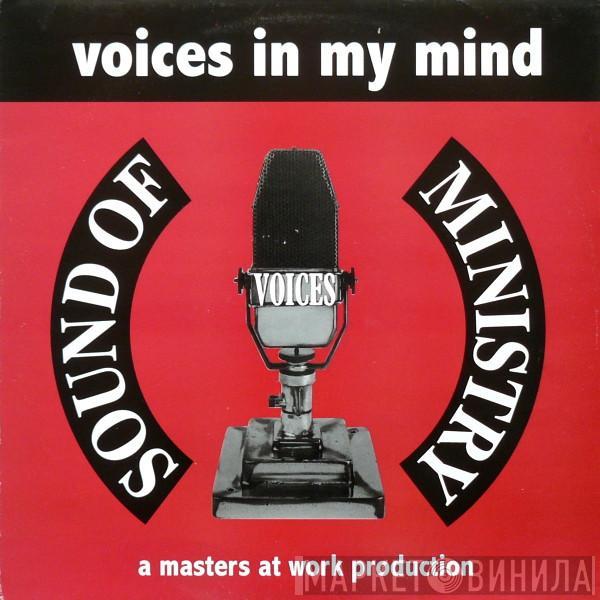 Voices - Voices In My Mind