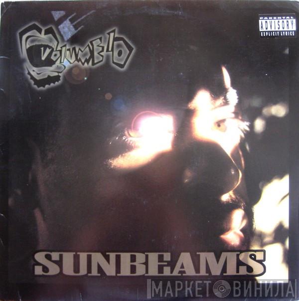 Volume 10 - Sunbeams