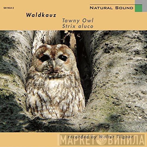  Walter Tilgner  - Waldkauz = Tawny Owl = Strix Aluco