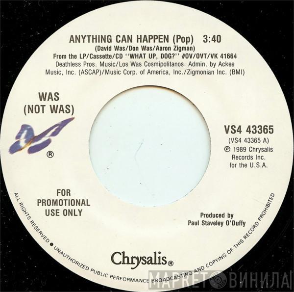  Was (Not Was)  - Anything Can Happen