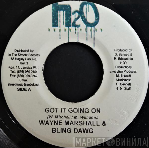 Wayne Marshall, Bling Dawg - Got It Going On