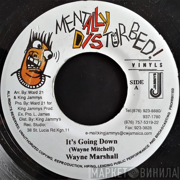Wayne Marshall - It's Going Down