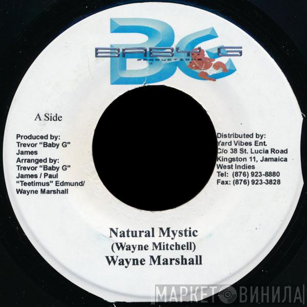 Wayne Marshall - Natural Mystic