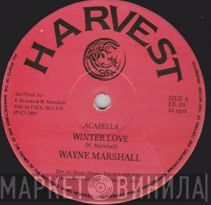 Wayne Marshall  - Winter Love