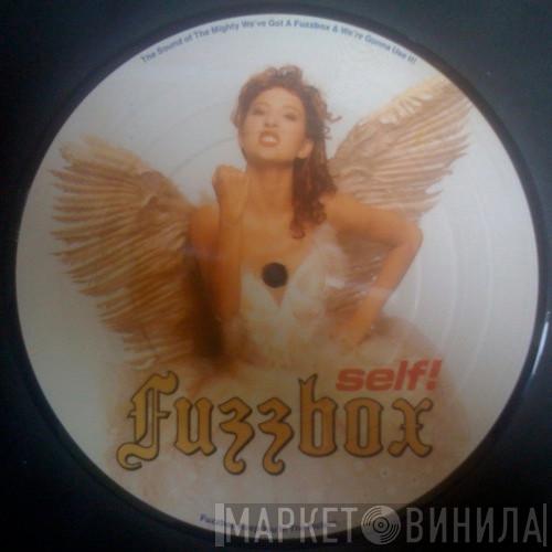 We've Got A Fuzzbox And We're Gonna Use It - Self!