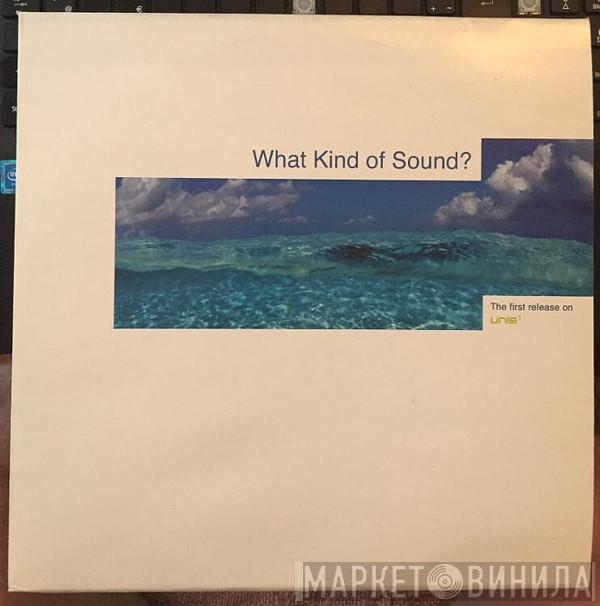 What Kind Of Sound? - The First Release On Unis 1