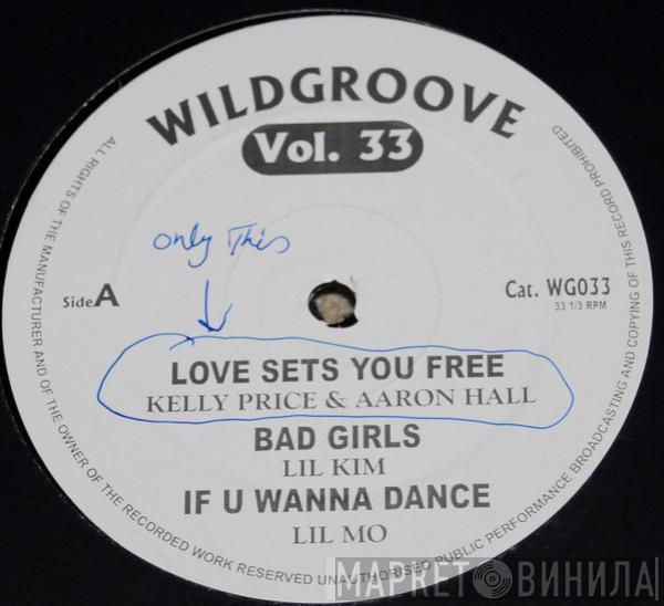  - Wildgroove Vol. 33