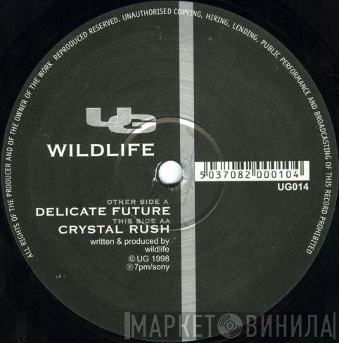 Wildlife - Delicate Future / Crystal Rush