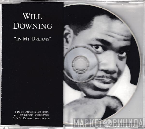  Will Downing  - In My Dreams