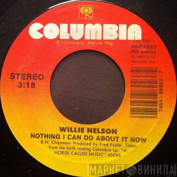 Willie Nelson - Nothing I Can Do About It Now / If I Were A Painting