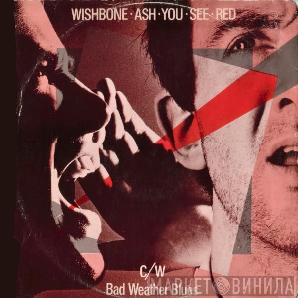 Wishbone Ash - You See Red
