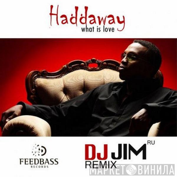 With Haddaway  DJ Jim (RU)  - What Is Love  (Remix)