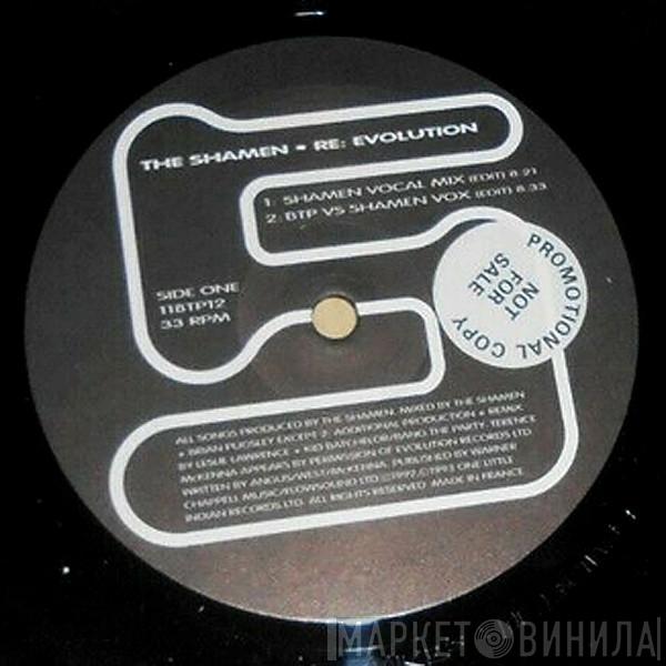 With The Shamen  Terence McKenna  - Re: Evolution
