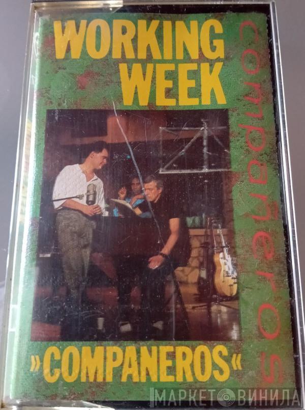  Working Week  - Compañeros