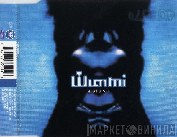  Wunmi  - What A See