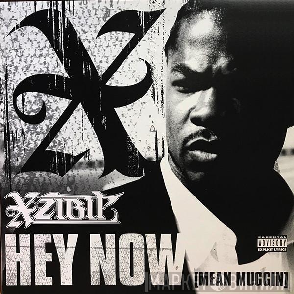  Xzibit  - Hey Now (Mean Muggin)