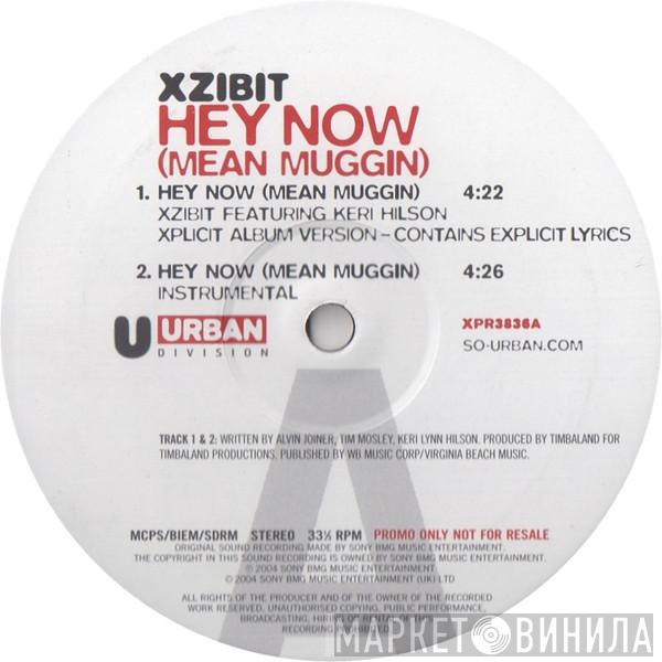 Xzibit - Hey Now (Mean Muggin)