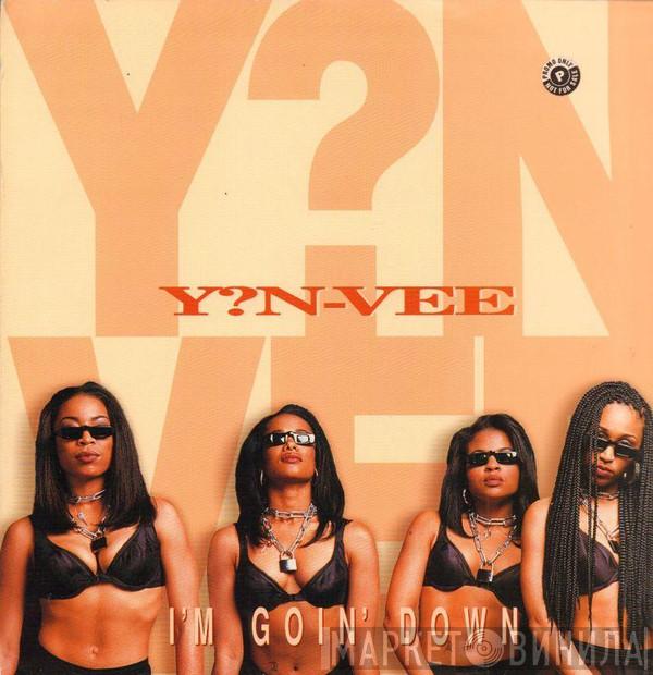 Y.N.V. - I'm Goin' Down