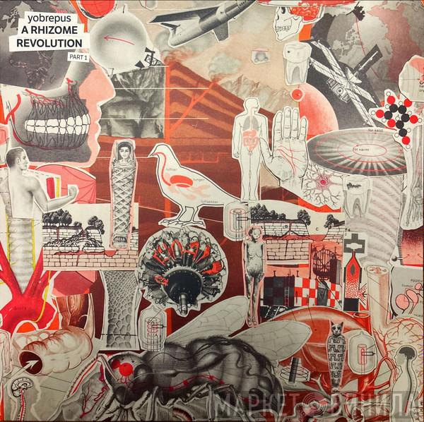 Yobrepus - A Rhizome Revolution Part 1