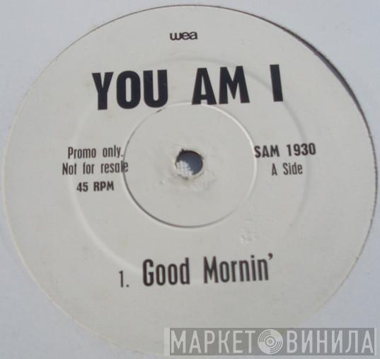 You Am I - Good Mornin'
