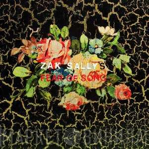 Zak Sally - Fear Of Song