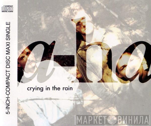 a-ha - Crying In The Rain