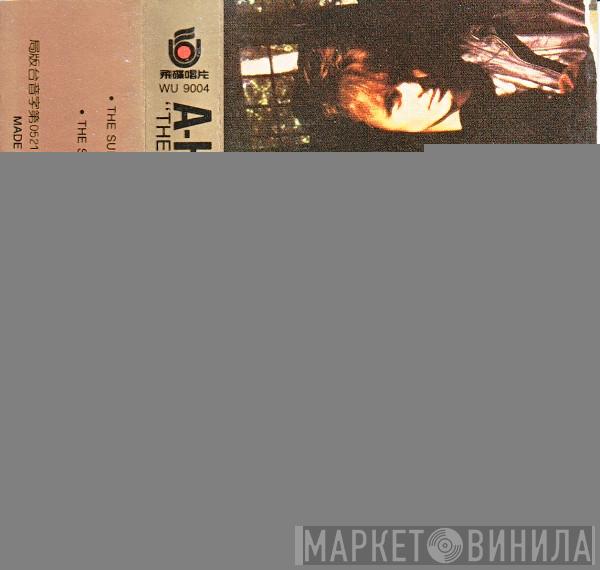  a-ha  - The Sun Always Shines On T.V.