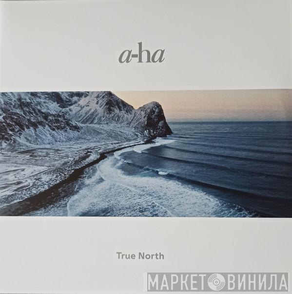 a-ha - True North