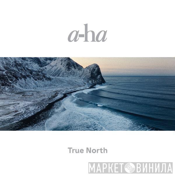  a-ha  - True North