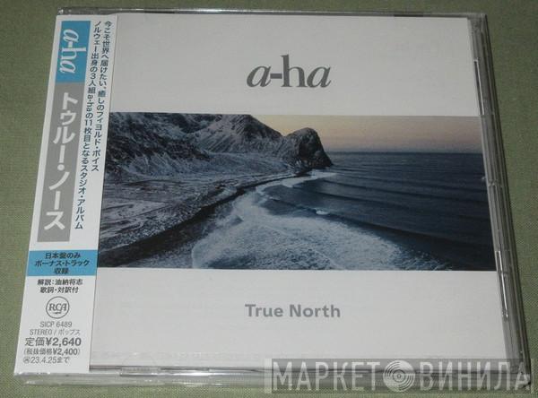  a-ha  - True North