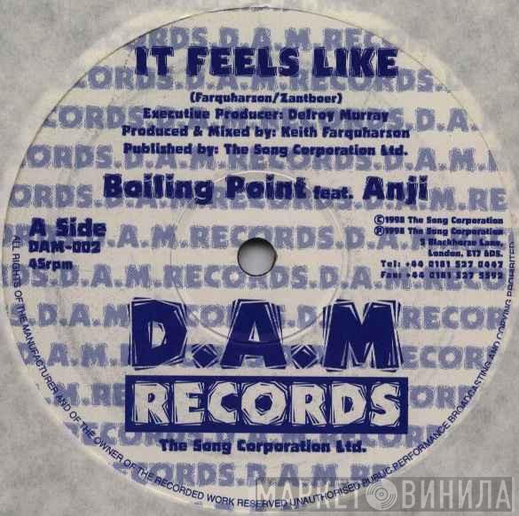 feat. Boiling Point   Anji  - It Feels Like
