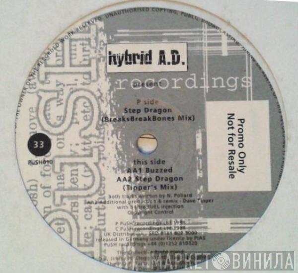 hybrid A.D. - Step Dragon / Buzzed