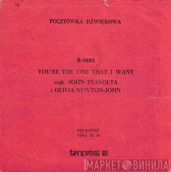 i John Travolta  Olivia Newton-John  - You're The One That I Want