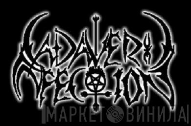Cadaveric Infection - Винил CD и Кассеты Cadaveric Infection на сайте МаркетВинила