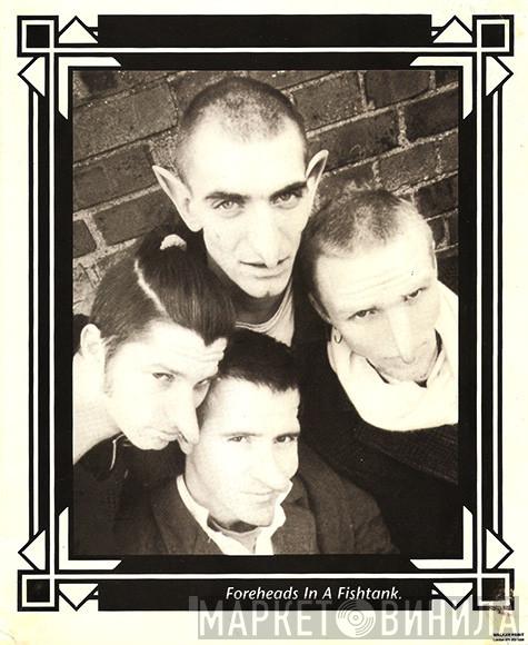 Foreheads In A Fishtank