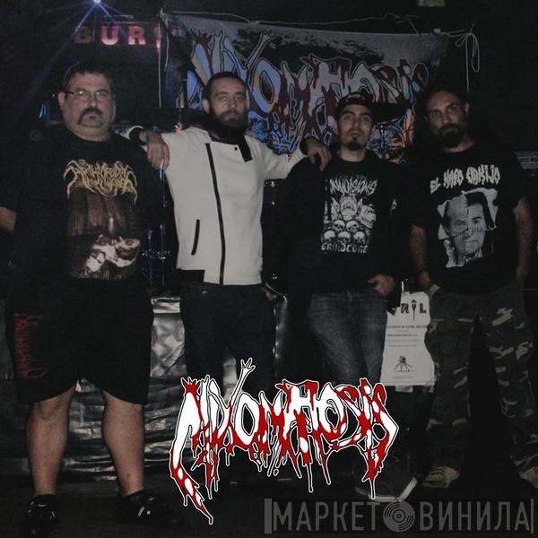 Mixomatosis - Винил CD и Кассеты Mixomatosis на сайте МаркетВинила