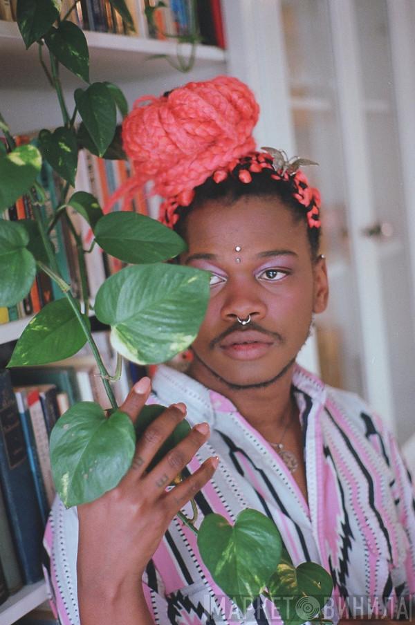Shamir  - Винил CD и Кассеты Shamir (2) на сайте МаркетВинила