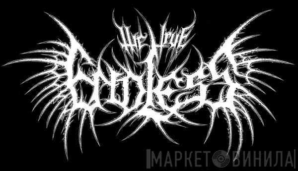 The True Endless - Винил CD и Кассеты The True Endless на сайте МаркетВинила