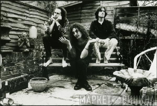 The Werefrogs - Винил CD и Кассеты The Werefrogs на сайте МаркетВинила