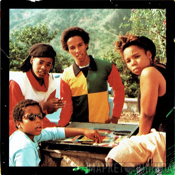 Ziggy Marley And The Melody Makers - Винил CD и Кассеты Ziggy Marley And The Melody Makers на сайте МаркетВинила