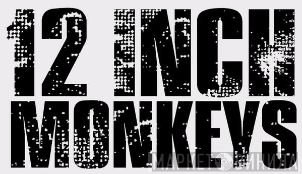 12 Inch Monkeys - Винил CD и Кассеты лейбла 12 Inch Monkeys на сайте МаркетВинила